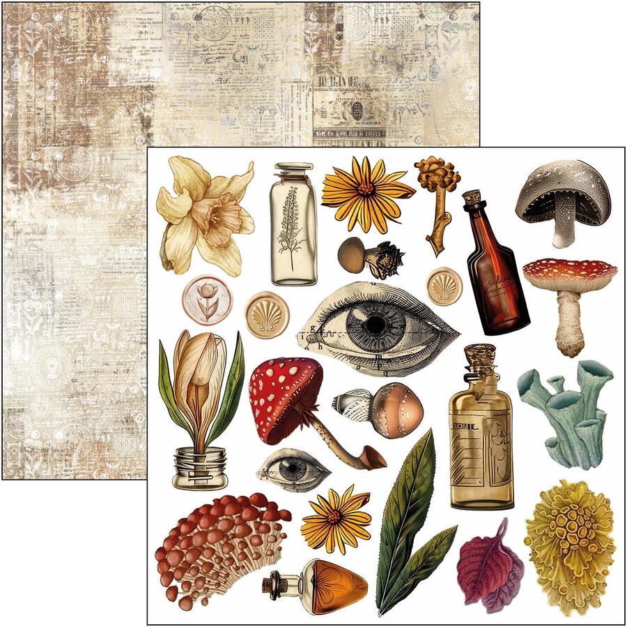 Cabinet of Curiosities Fussy Cut pad 15 x 15 cm