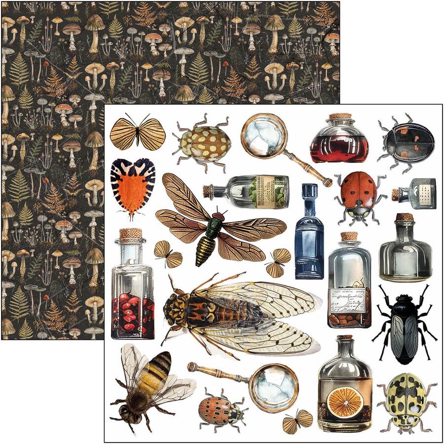 Cabinet of Curiosities Fussy Cut pad 15 x 15 cm