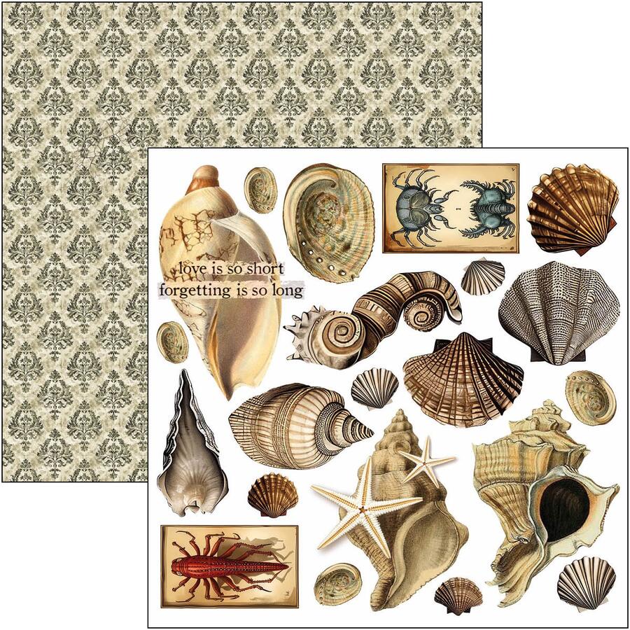 Cabinet of Curiosities Fussy Cut pad 15 x 15 cm