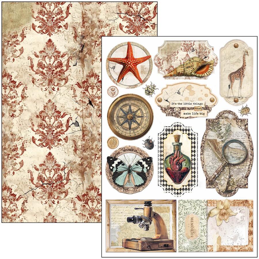 Cabinet of Curiosities Creative Pad A4