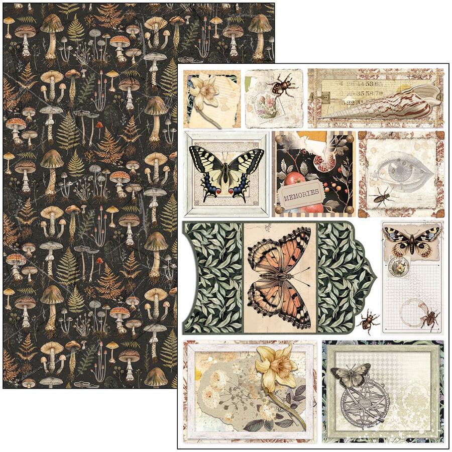 Cabinet of Curiosities Creative Pad A4