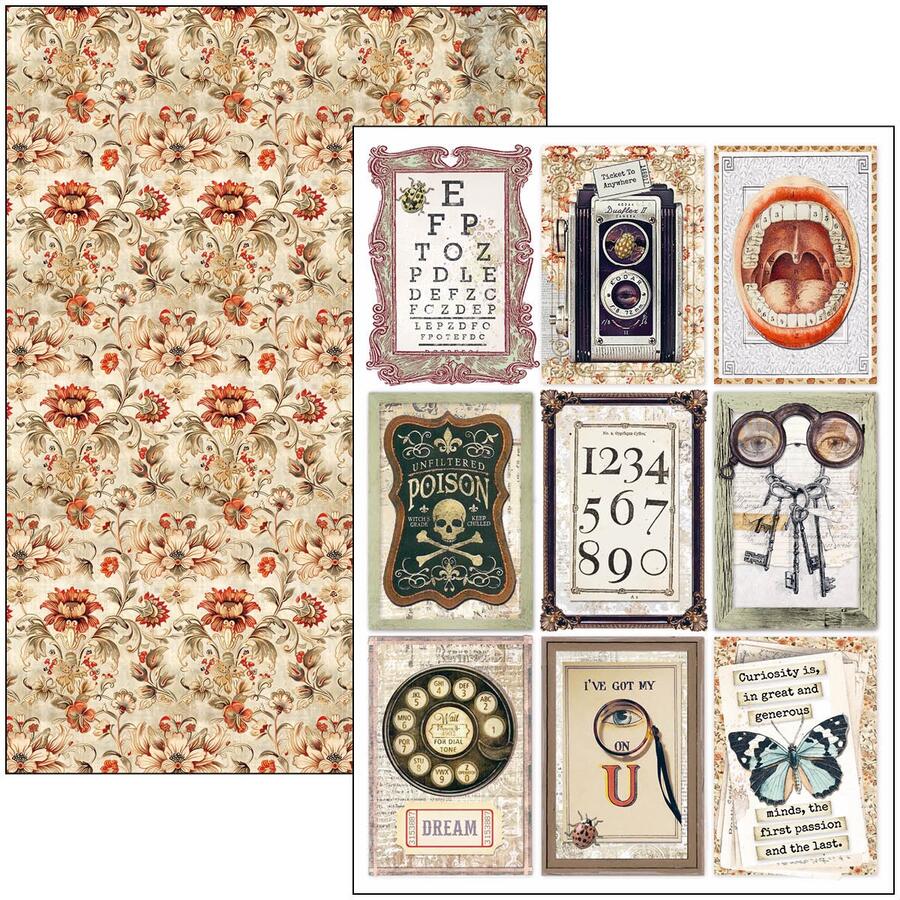 Cabinet of Curiosities Creative Pad A4