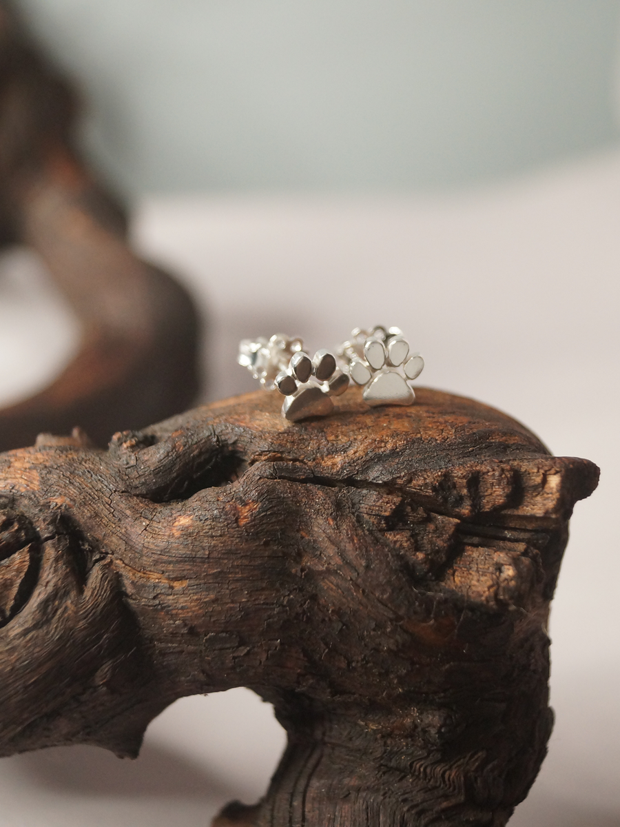 Paw, aretes