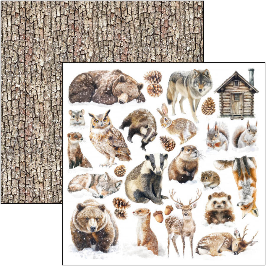 Forest Tales Paper Pad 20,3 x 20,3