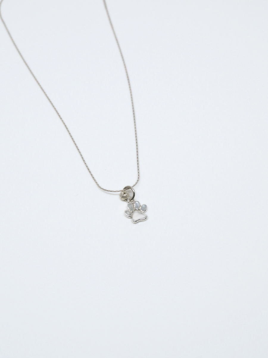 Paw, Collar