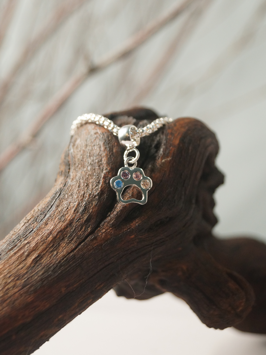 Zampetta, Charm y Pulsera