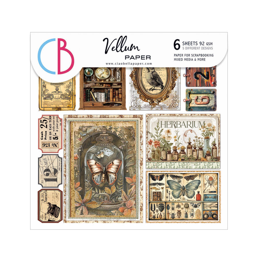 Vellum Paper Cabinet of Curiosities Fussy Cut 15 x 15 cm