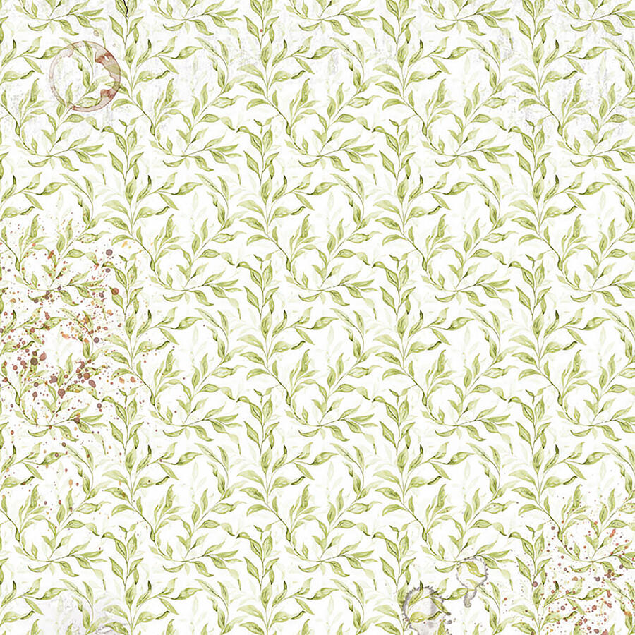 Vellum Paper Cabinet of Curiosities Fussy Cut 15 x 15 cm