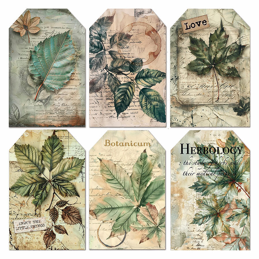 Vellum Paper Cabinet of Curiosities Fussy Cut 15 x 15 cm