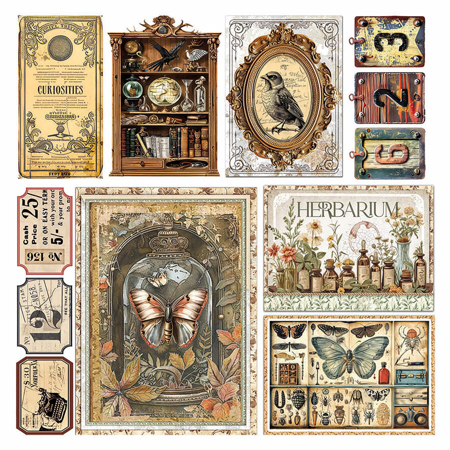 Vellum Paper Cabinet of Curiosities Fussy Cut 15 x 15 cm