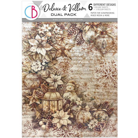 Deluxe Paper Silver & Vellum Dual Pack  A4 Mixed 6 pcs Winter Season