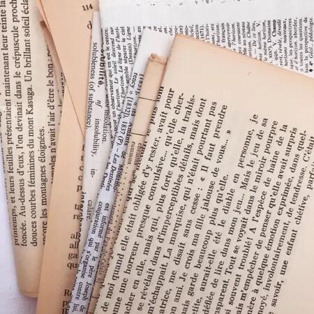 Kit pagine di libri vintage francesi