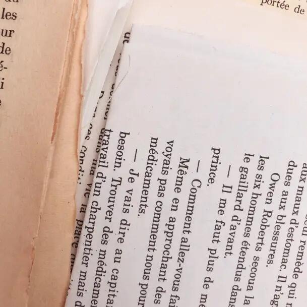 Kit pagine di libri vintage francesi