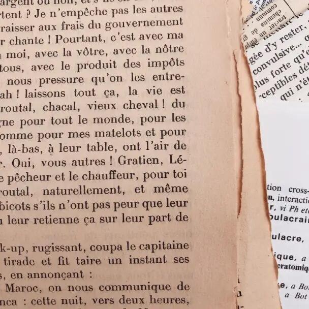 Kit pagine di libri vintage francesi