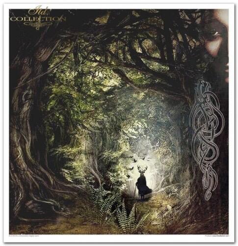 Scrapbooking papers  ''An undiscovered magical world'' 
