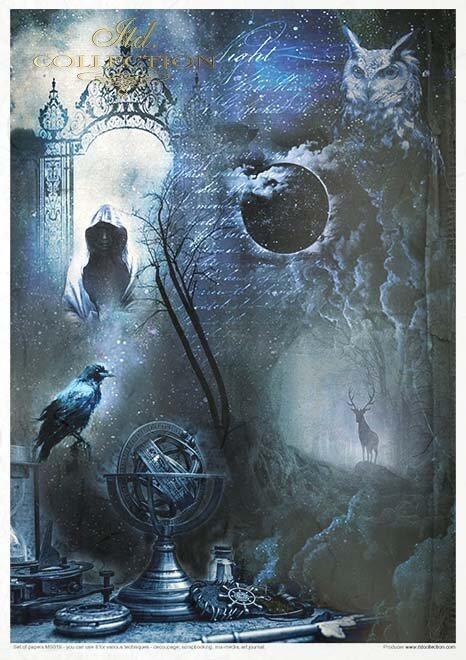 Creative Set  An undiscovered magical world