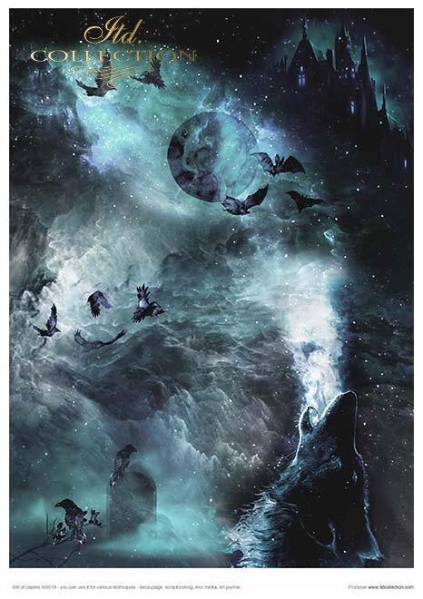 Creative Set  An undiscovered magical world