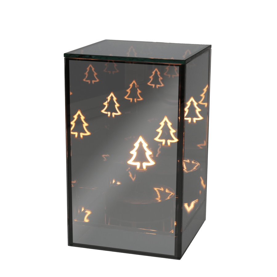 Tognana - Natale 2025 - Parallelepipedo albero con led