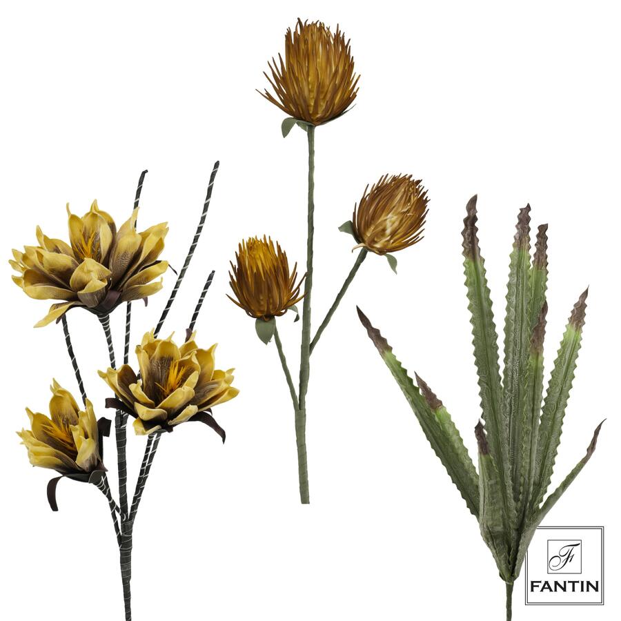 Fantin Argenti - Composizione Floreale in Lattice – Dalie, Protea Nitida e Agave Giallo (3 Steli)
