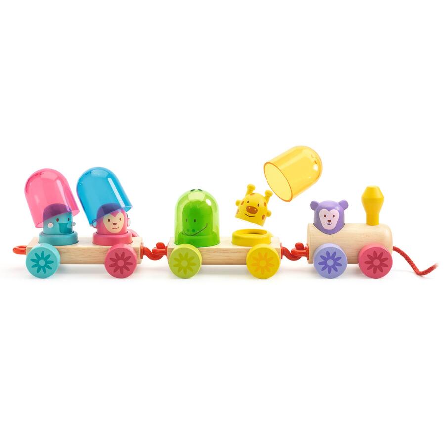 Rainbow Train 
