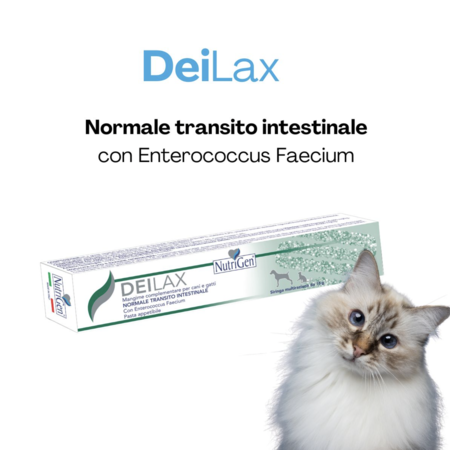 DeiLax