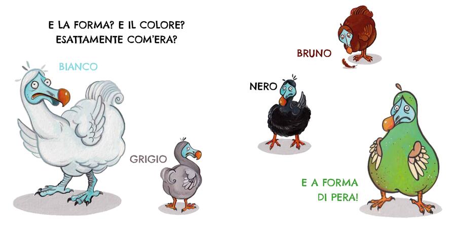 Il Dodo Raffreddado - Haider Bucar