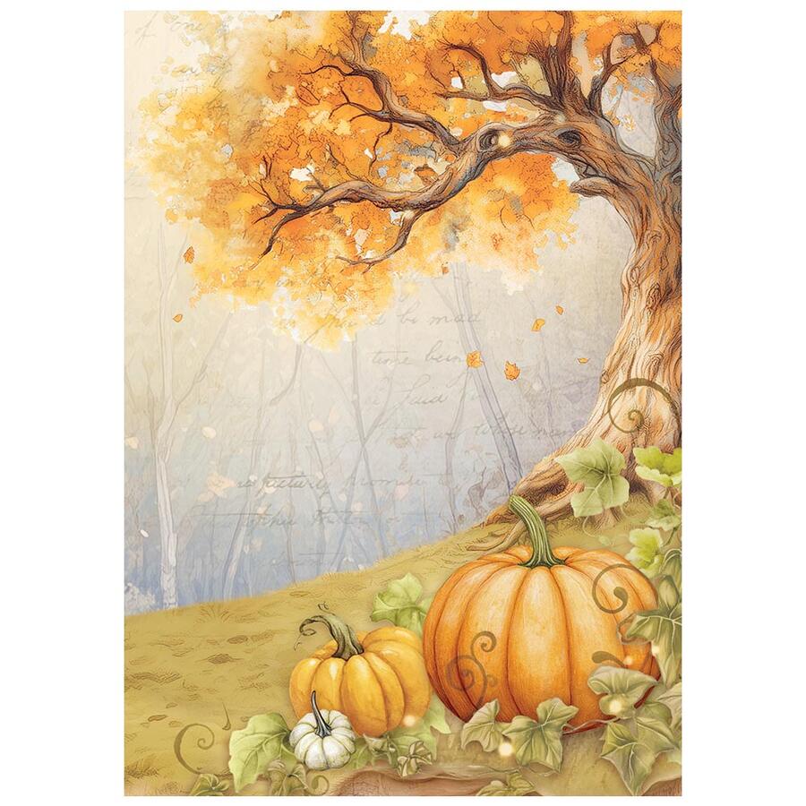 Selezione 8 carte di riso foto A6 Backgrounds Whispering Woods