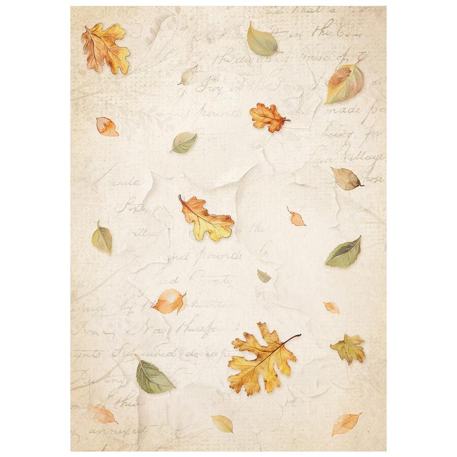 Selezione 8 carte di riso foto A6 Backgrounds Whispering Woods