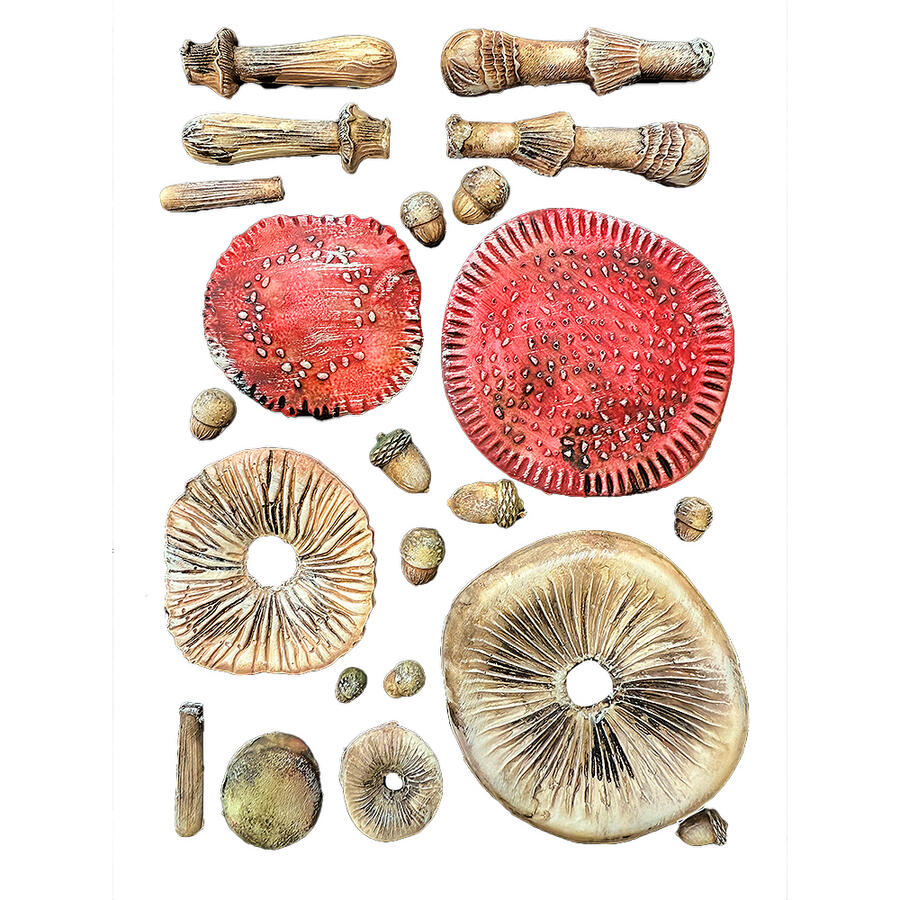 Stampo in silicone A5 Whispering Woods Funghi 3D