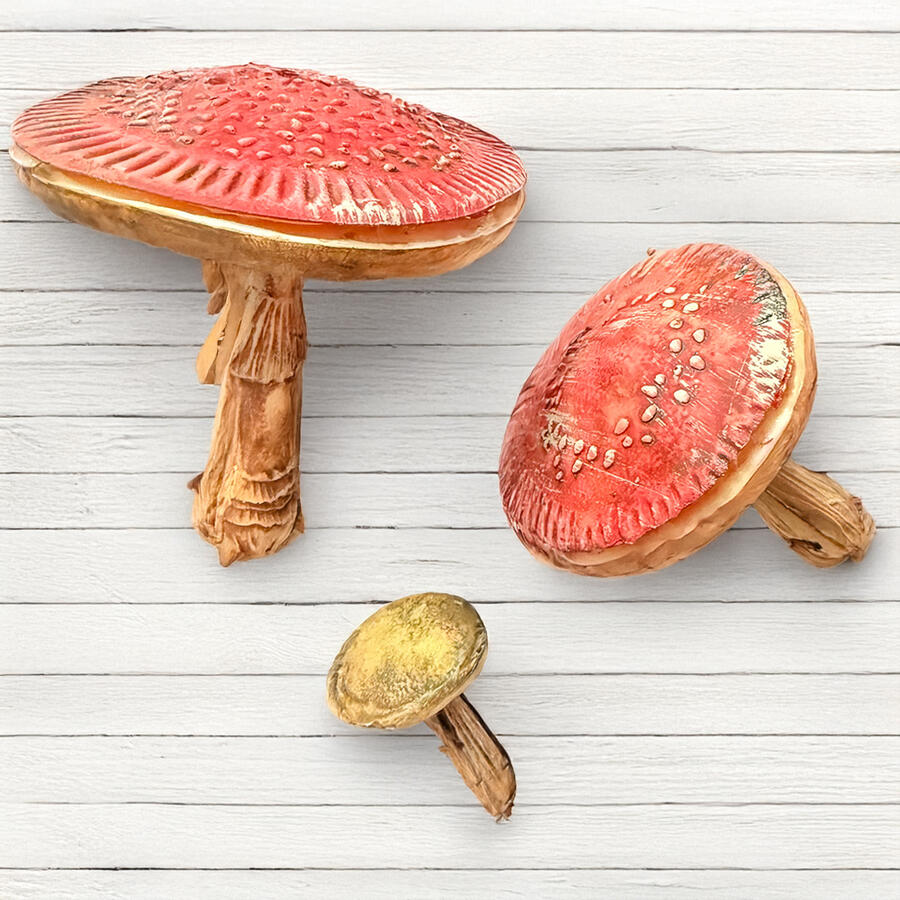 Stampo in silicone A5 Whispering Woods Funghi 3D
