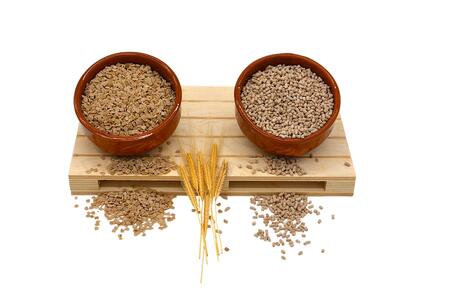 Quadrucci Integrali di Grano Monococco Norberto BIO 400g