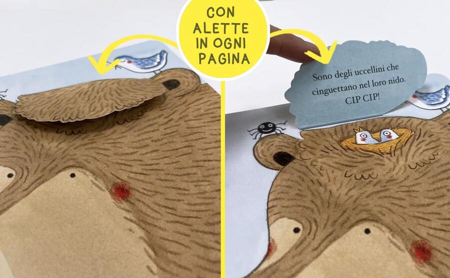 Il mio orso. Libri cucù