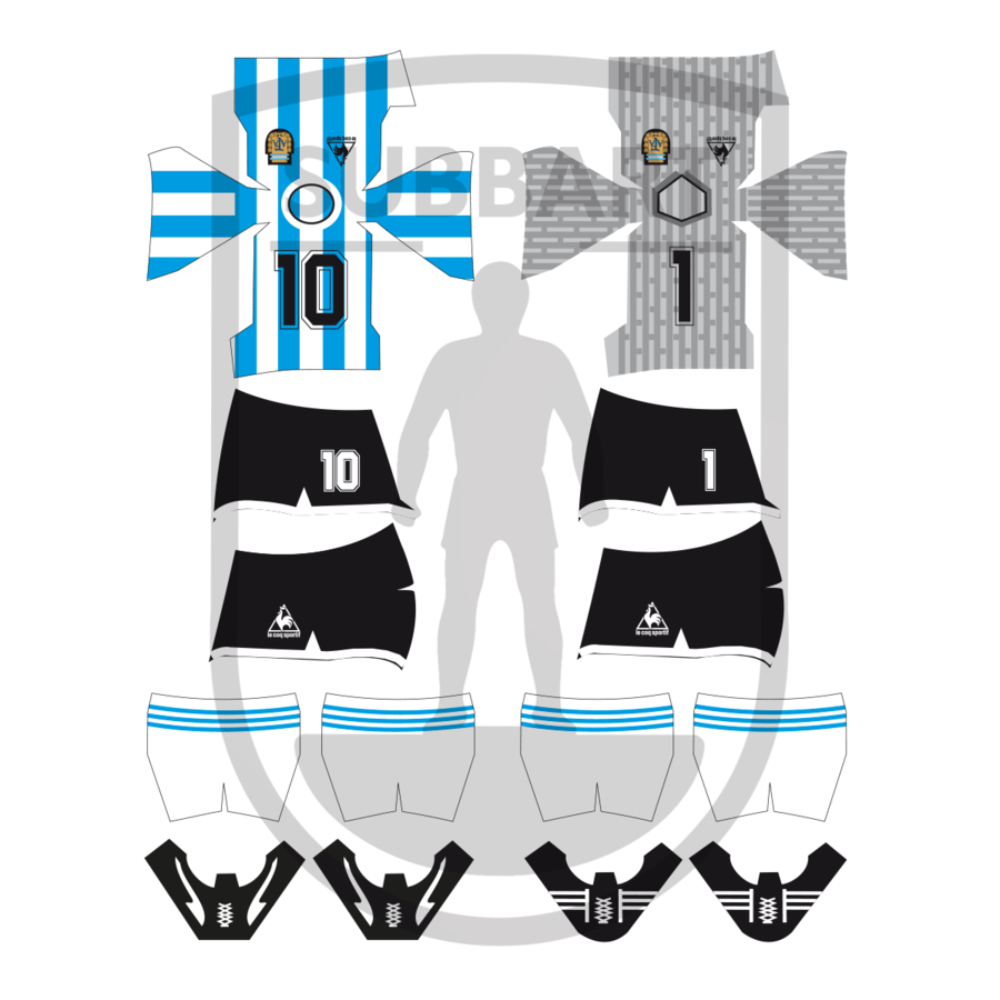 DECALS ARGENTINA 1986 WORLD CUP