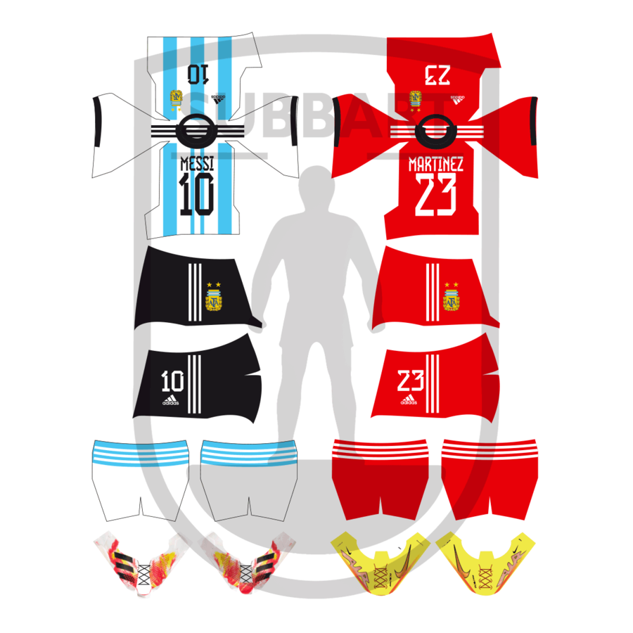 DECALS ARGENTINA 2022 WORLD CUP