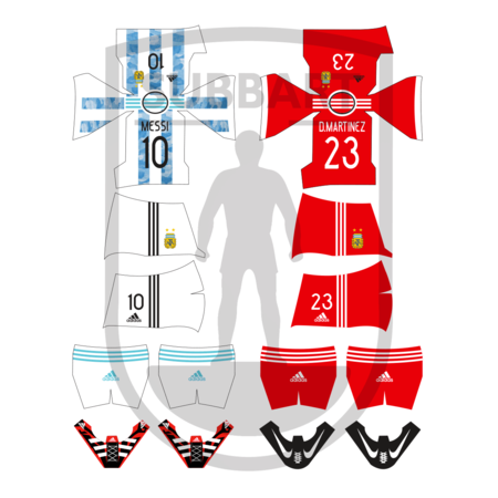 DECALS ARGENTINA 2021 COPPA AMERICA