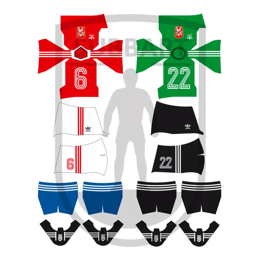 DECALS CECOSLOVACCHIA 1982 WORLD CUP