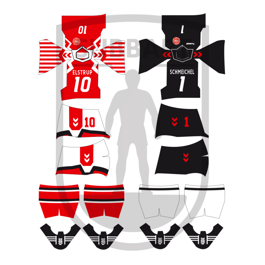 DECALS DANIMARCA 1992 EUROPEO