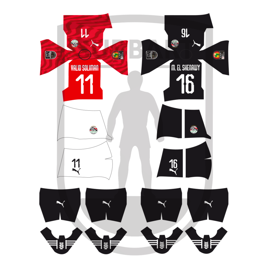 DECALS EGITTO 2019 COPPA D'AFRICA