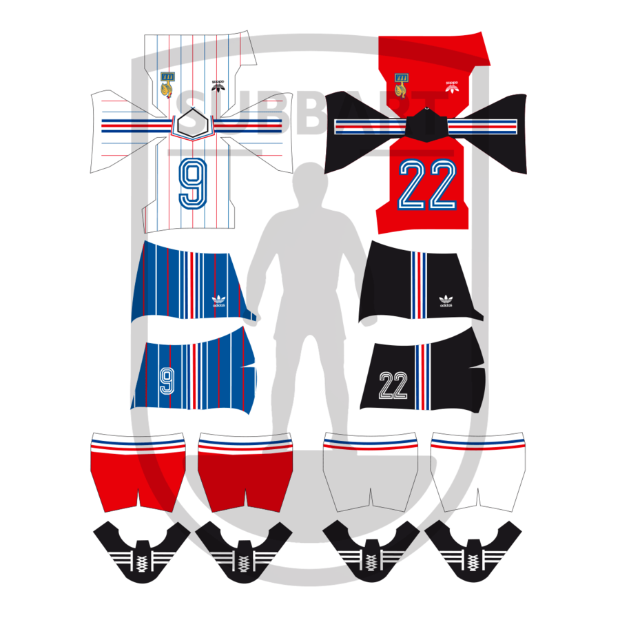 DECALS FRANCIA 2 MAGLIA 1982 WORLD CUP