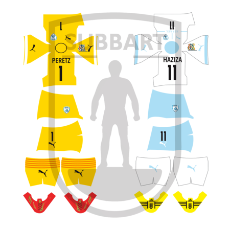 DECALS ISRAELE 2 MAGLIA 2025 