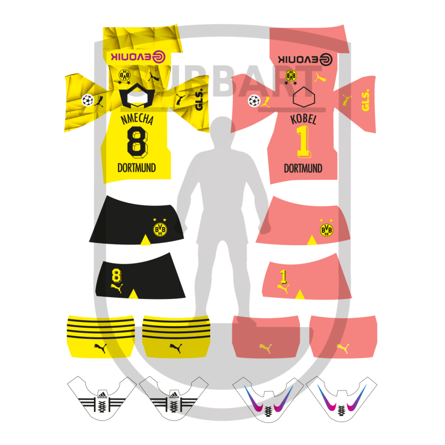 DECALS BORUSSIA DORTMUND CHAMPIONS 2023-24
