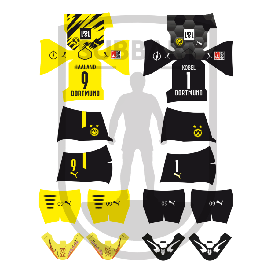 DECALS BORUSSIA DORTMUND 2020-21