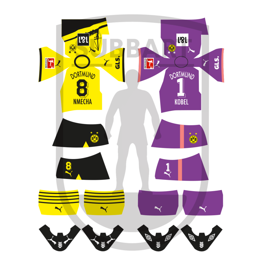 DECALS BORUSSIA DORTMUND 2023-24