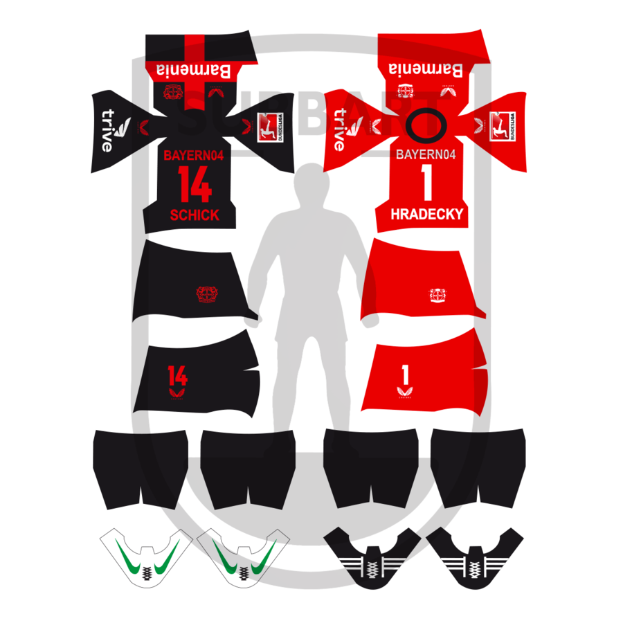 DECALS BAYER LEVERKUSEN 2023-24