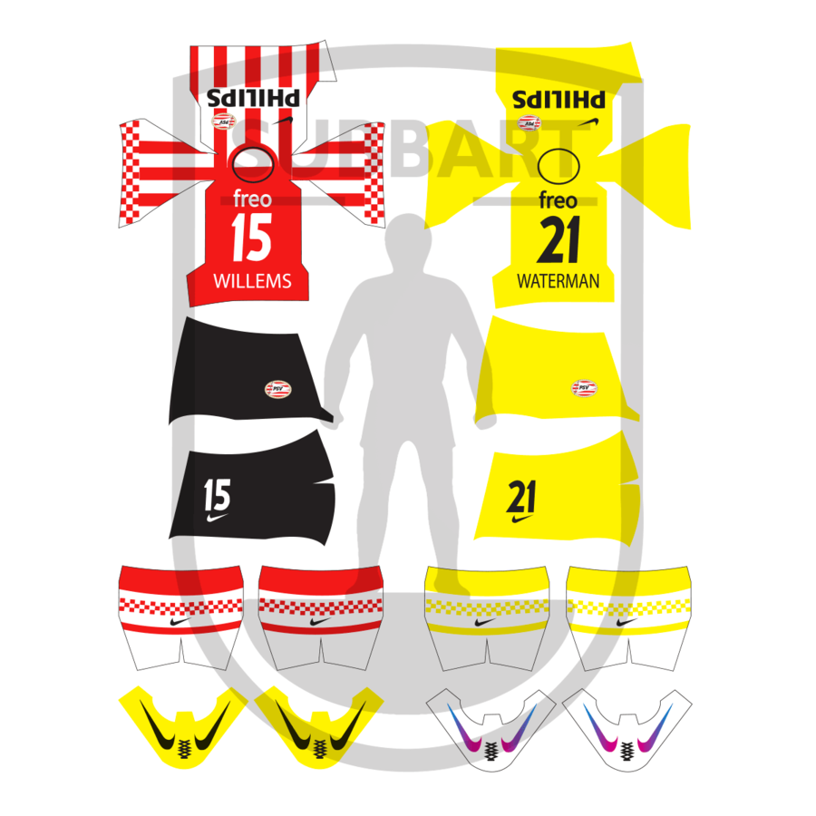 DECALS PSV 2012-13