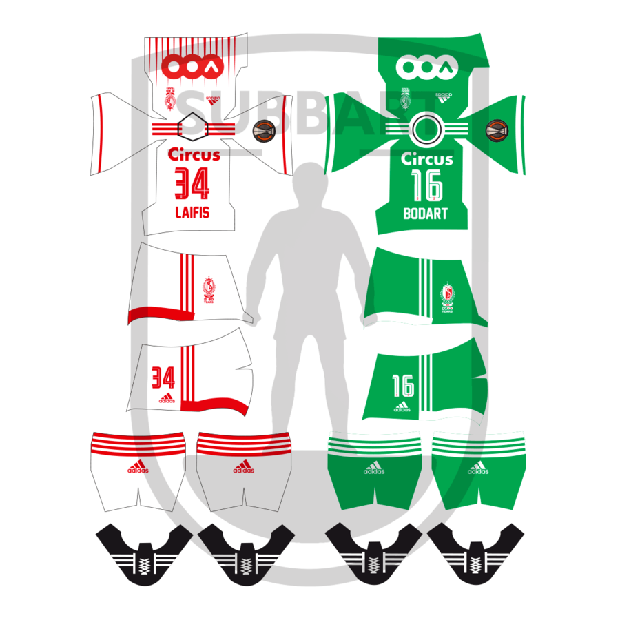 DECALS STANDARD LIEGI 2 MAGLIA 2021-22