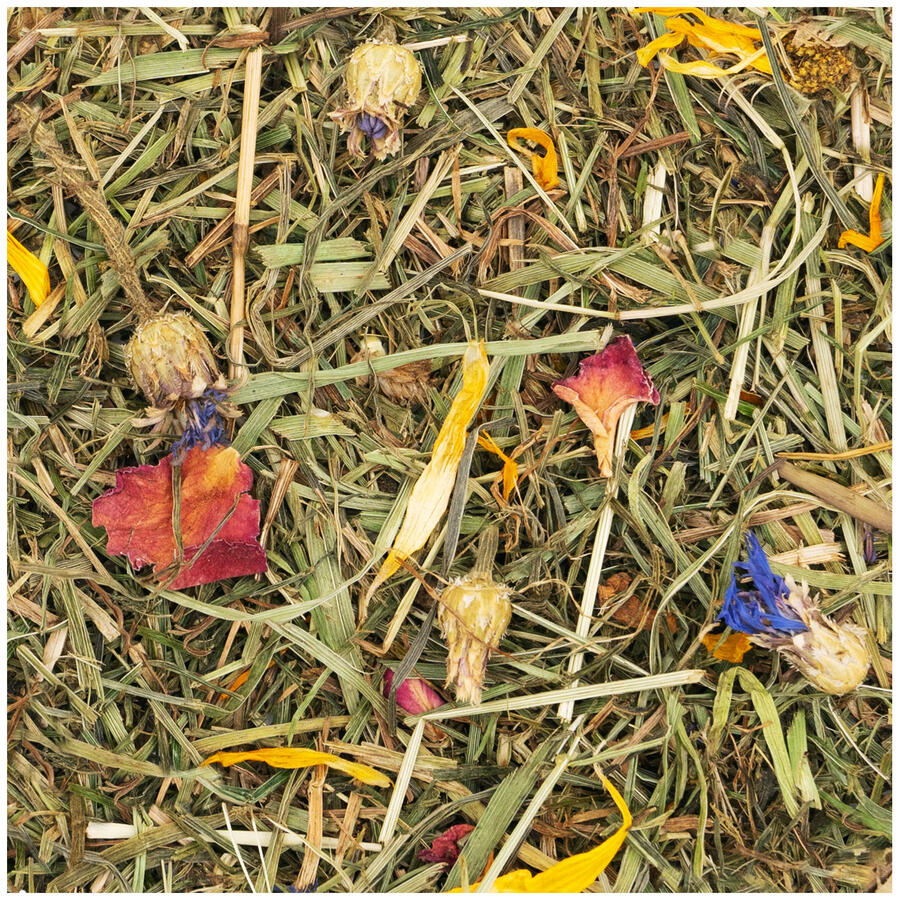 JR FARM Prato Fiorito (blutenwiese) - 500 gr.