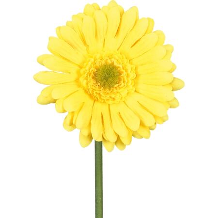 Gerbera, 50cm, yellow