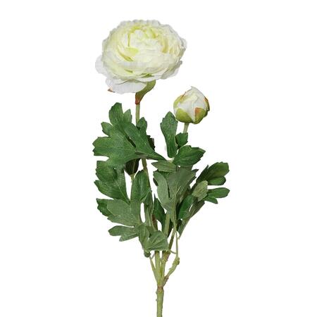 Ranunculus x2, 40cm, cream