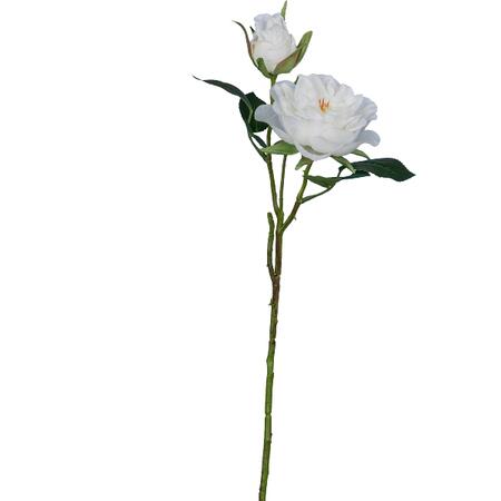 Garden rose, 58cm, white